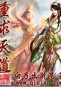 重求天道txt