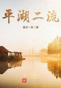 平湖二流小说好看吗