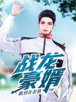 战龙强婿