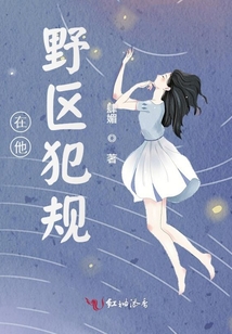 在他野区犯规了小说