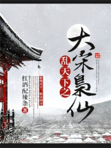 大宋乱臣贼子小说