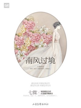 南风过境简介