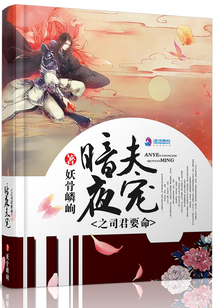 暗夜夫宠之司君要命