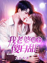我的老婆是傻瓜
