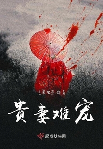 贵妻无防盗