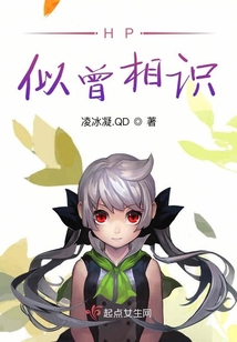 似曾相识 小说
