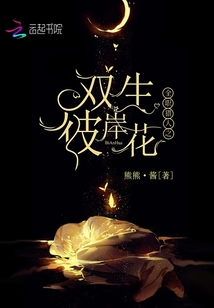全职猎人双魂