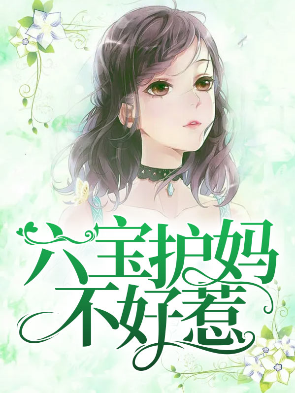 六宝集团团妈不好惹