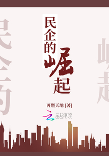 民营企业发展历程