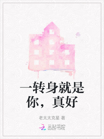 转身就是一辈子你是什么歌