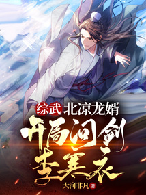 综武:北凉龙婿,开局问剑李寒衣小说TXT