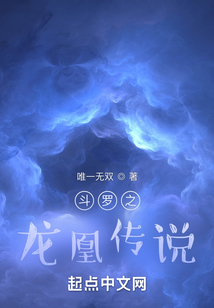 斗罗之龙凰传说笔趣阁