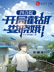 四合院:开局截胡娄晓娥!