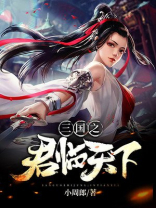 三国之君临天下小说