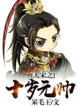 大宋之少年大元帅将军