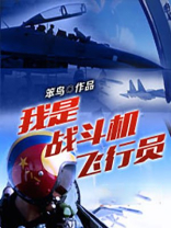 我是战斗机飞行员