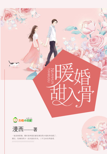 暖婚甜入骨小说全文免费阅读