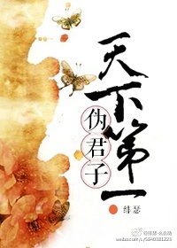 天下第一伪君子好看吗