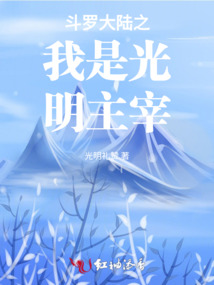 斗罗大陆之我是光明主宰小说