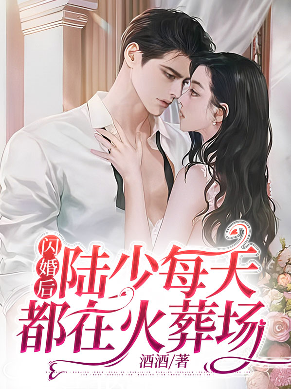 闪婚后,陆少每天都在火葬场