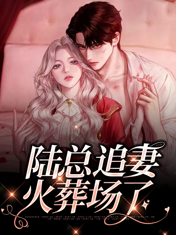 重生之追夫火葬场陆时遇