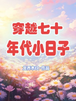 穿越七十年代小日子 百度网盘