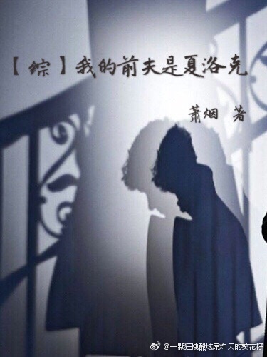 我的前夫是总裁