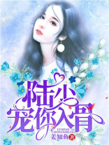 陆先生宠他入骨免费阅读