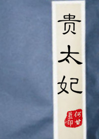 贵太妃小说