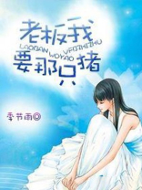 我的老板为何那