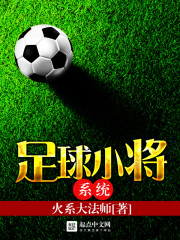 足球小将系统 无弹窗