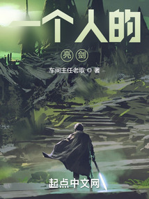 一个人的亮剑小说作品大全