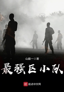 最强区小队七七免费下载全集小说