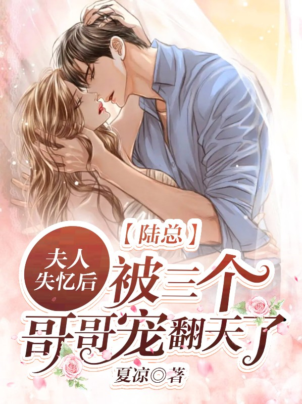 陆总夫人要离婚