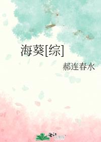 海葵小说解析