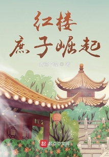 红楼：庶子崛起