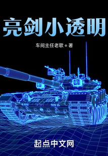 亮剑衣服