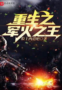 重生之军火之王TXT