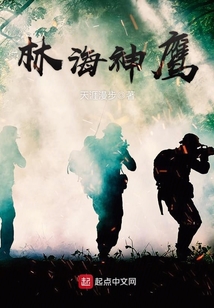 小说林海神鹰全文免费阅读
