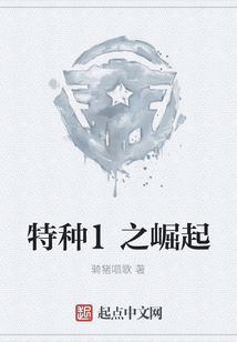 特种兵之国术崛起