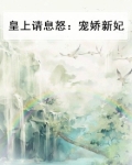 皇上请息怒:宠娇新妃