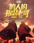 火影：鸣人的叛忍老哥
