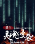 灵魂侵袭[重生]