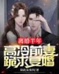 离婚半年，高冷前妻跪求复婚