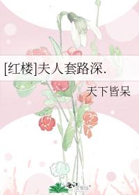 [红楼]夫人套路深.