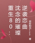 重生80:沈念的璀璨逆袭恋曲
