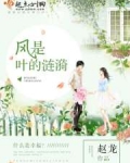 风是叶的涟漪