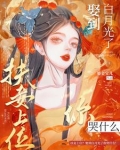 妻妾同娶？和离当皇后不香吗