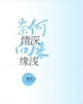 奈何情深,向来缘浅