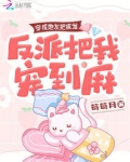 穿成炮灰把疯发，反派把我宠到麻